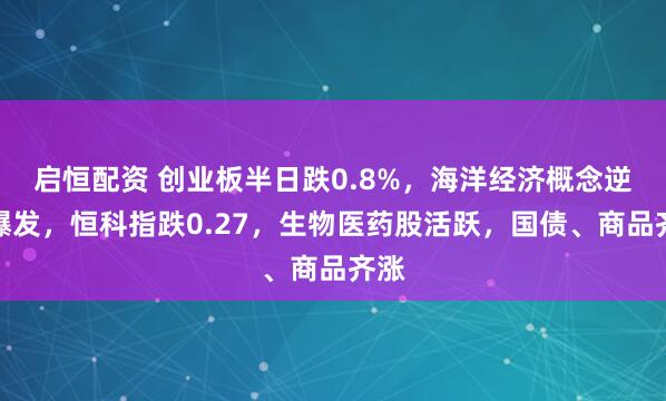 启恒配资 创业板半日跌0.8%，海洋经济概念逆势爆发，恒科指跌0.27，生物医药股活跃，国债、商品齐涨