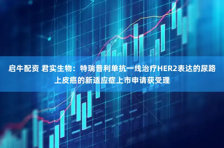 启牛配资 君实生物：特瑞普利单抗一线治疗HER2表达的尿路上皮癌的新适应症上市申请获受理